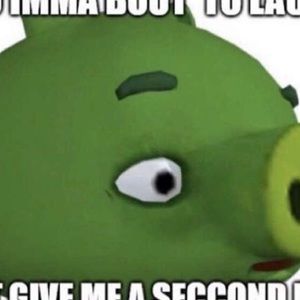 Meet your Posher, Cameryn